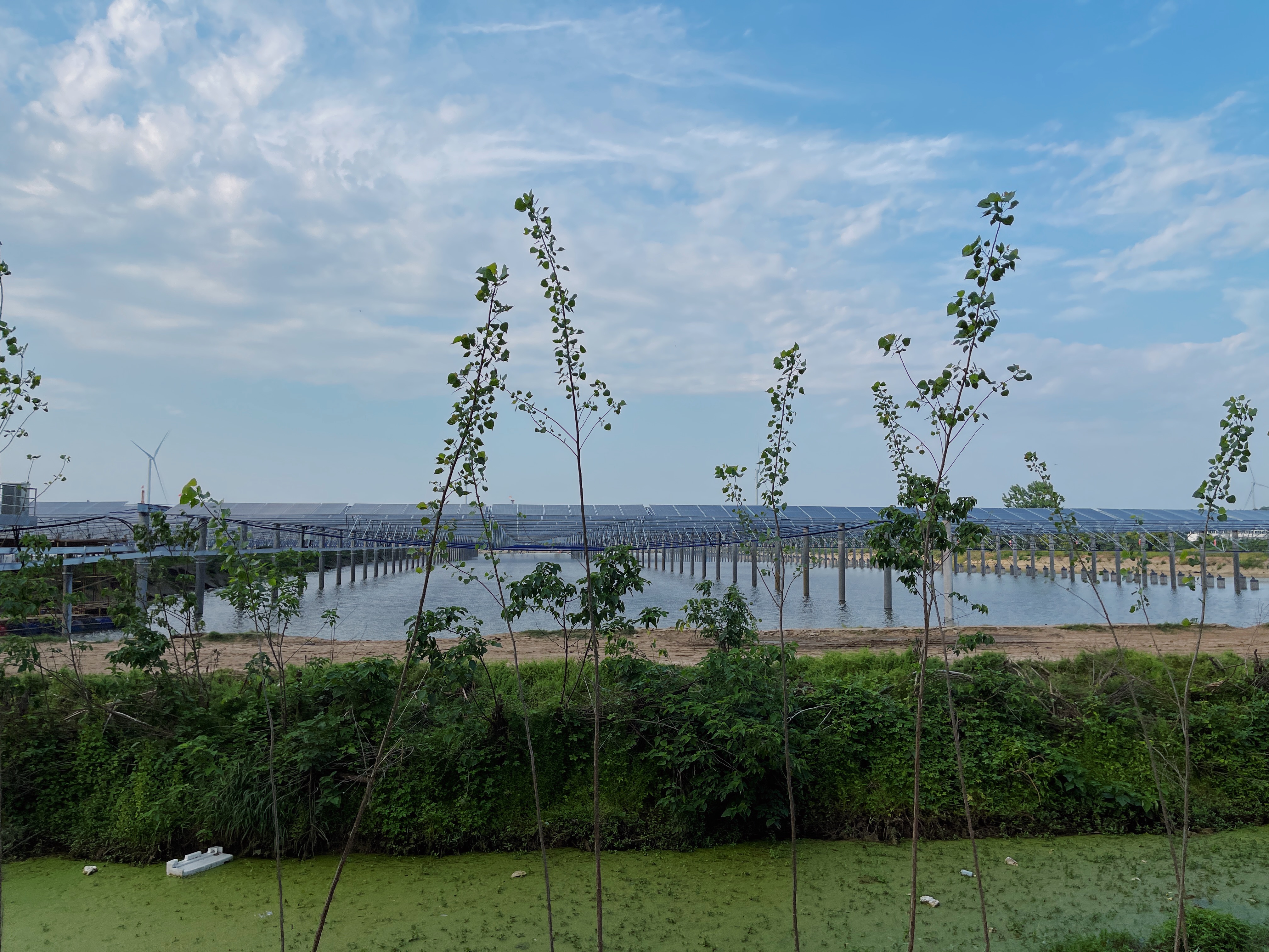 6498B0C2-04CC-47E0-81DE-69CEF529CF3A.JPG