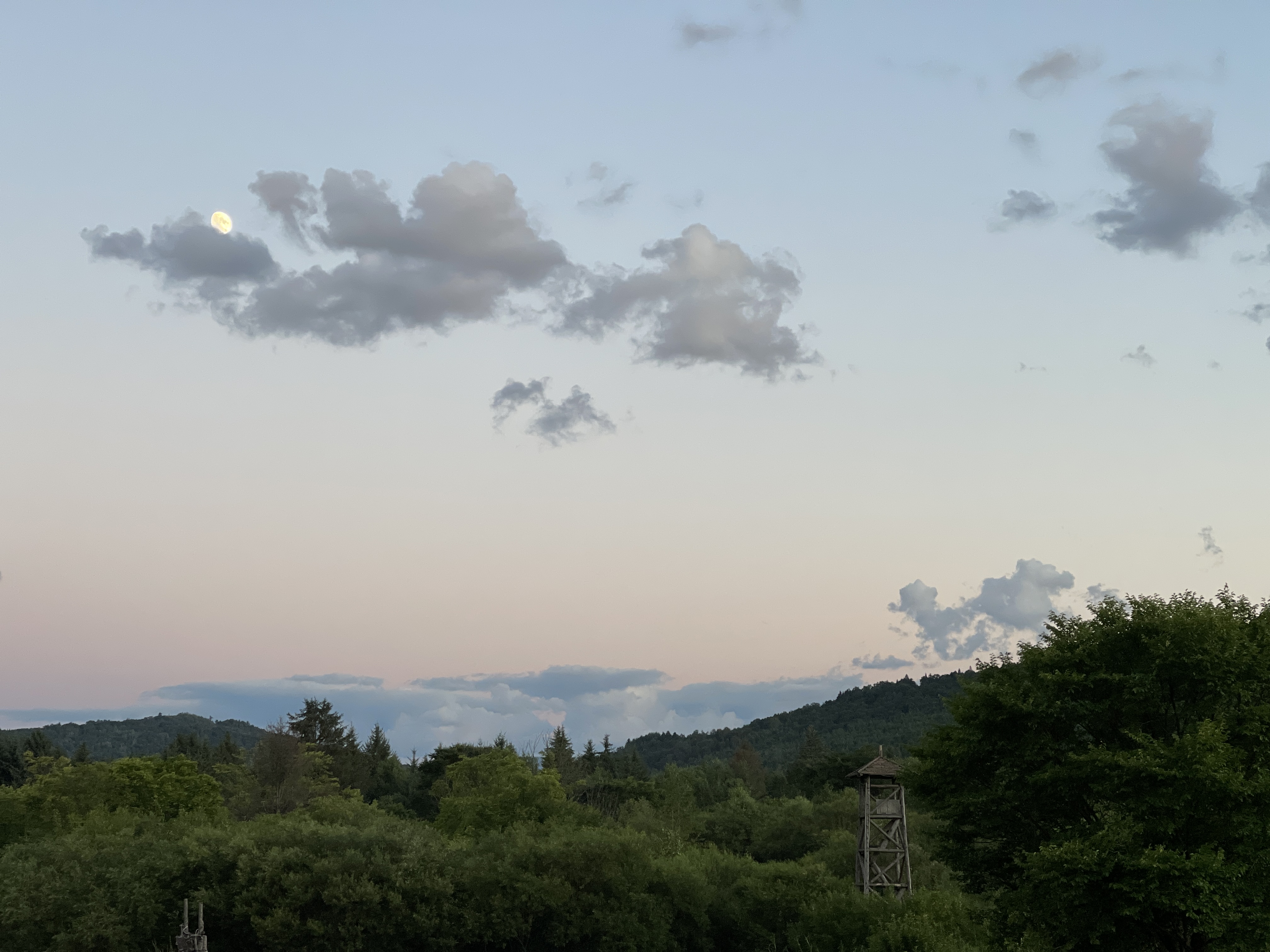 IMG_3486 2.JPG